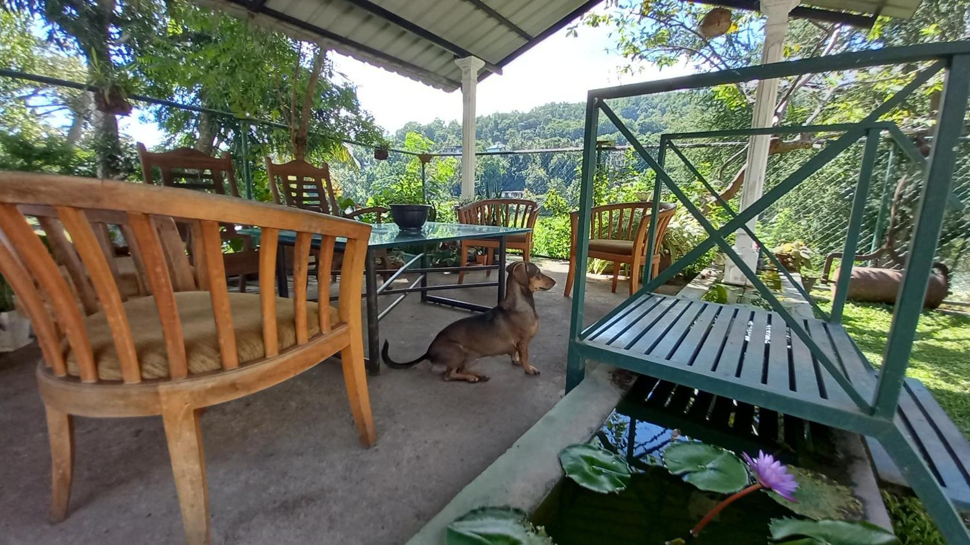 Mahaweli Shades Hotel Kandy Kültér fotó