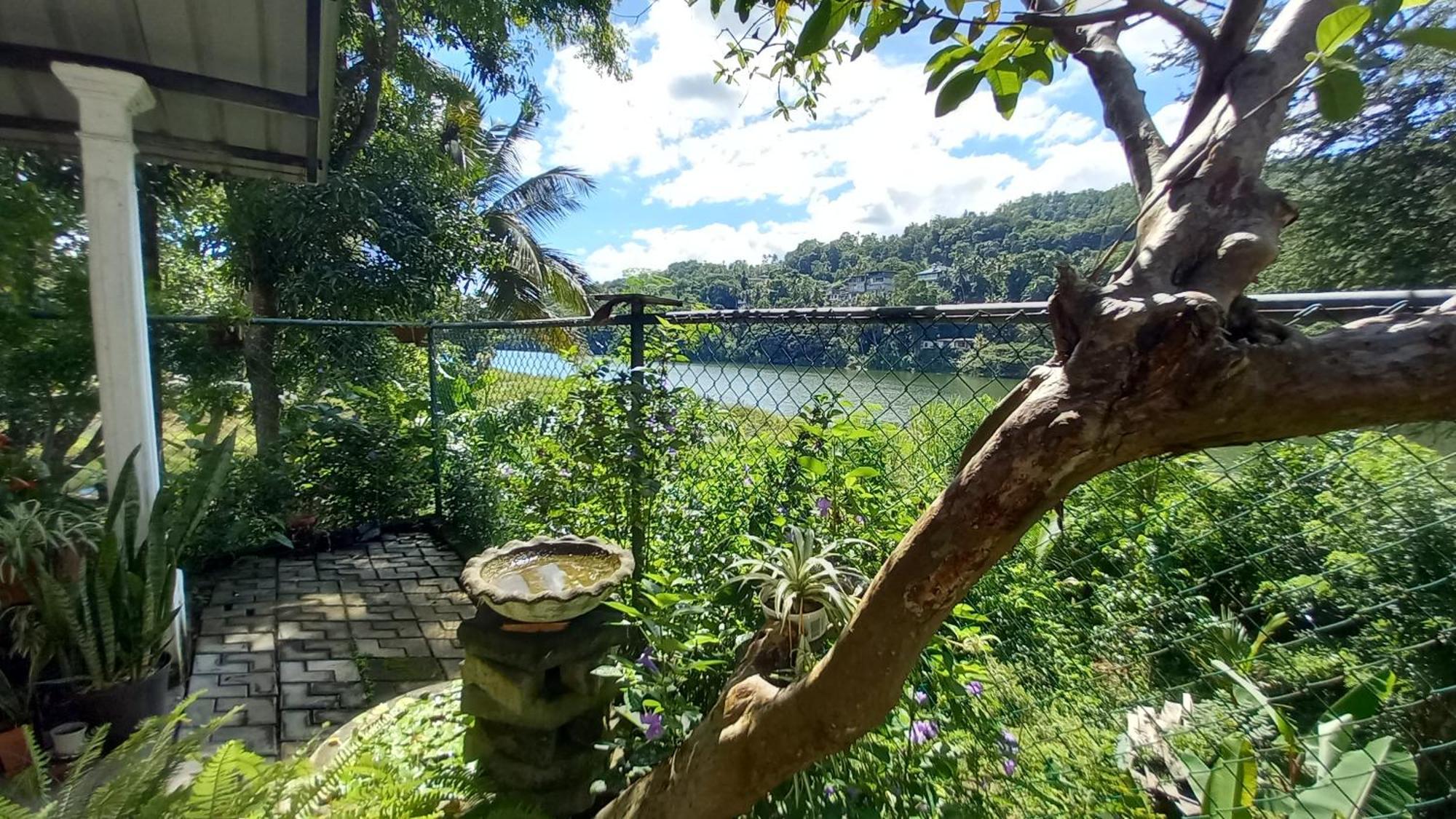 Mahaweli Shades Hotel Kandy Kültér fotó