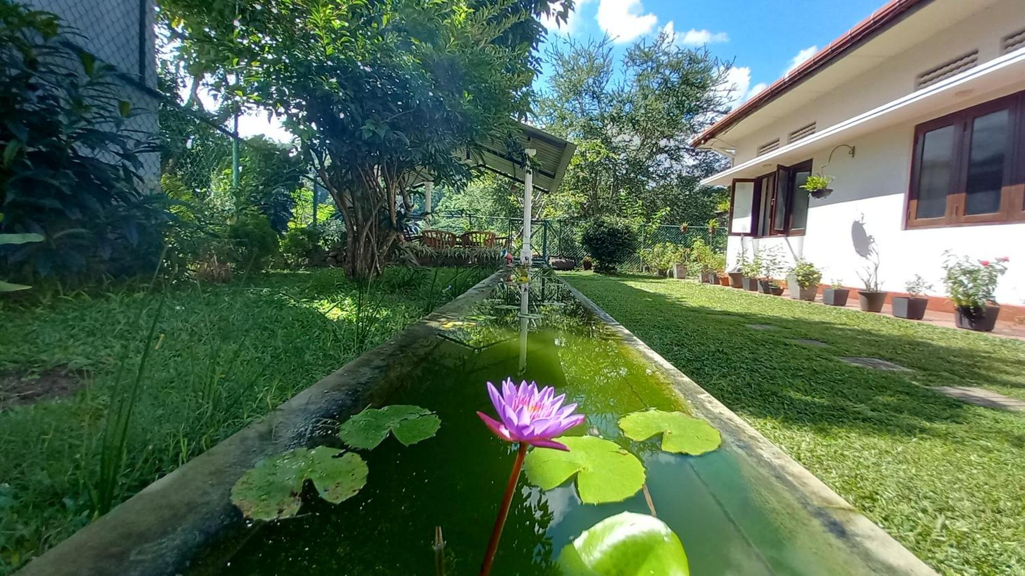 Mahaweli Shades Hotel Kandy Kültér fotó