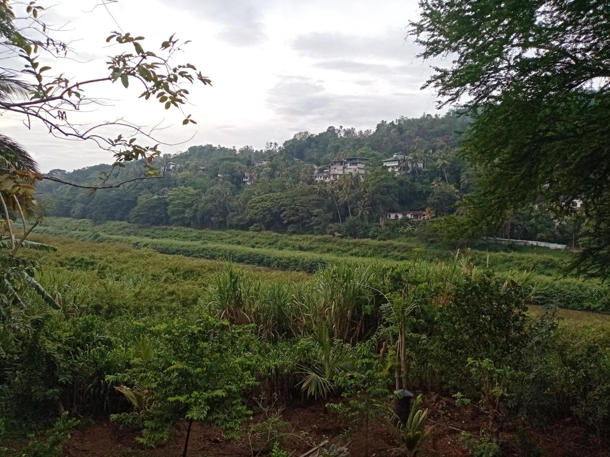 Mahaweli Shades Hotel Kandy Kültér fotó