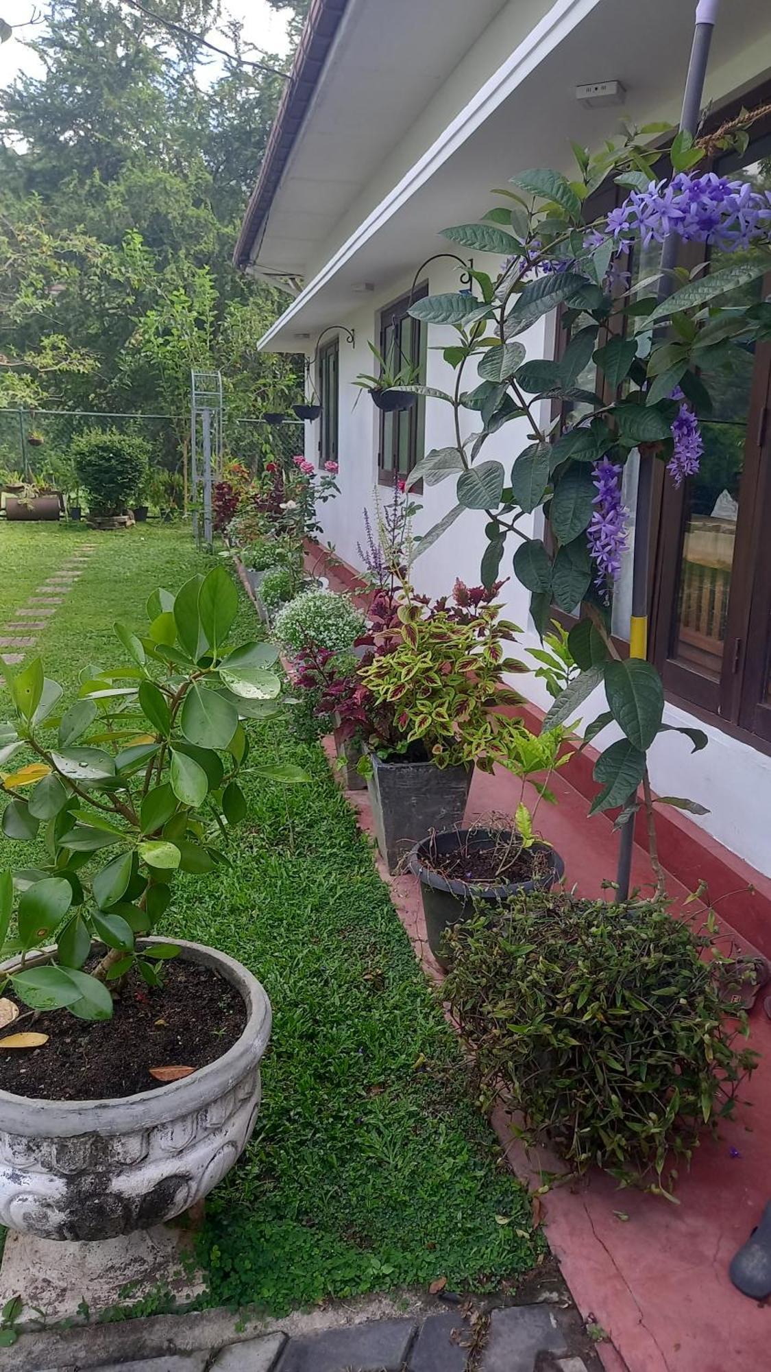 Mahaweli Shades Hotel Kandy Kültér fotó