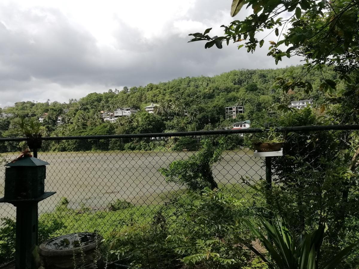 Mahaweli Shades Hotel Kandy Kültér fotó