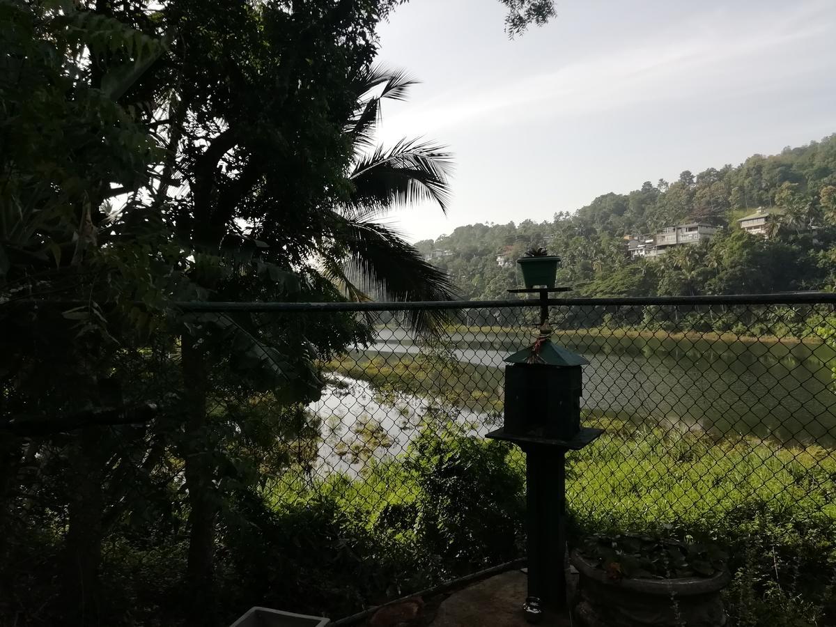 Mahaweli Shades Hotel Kandy Kültér fotó