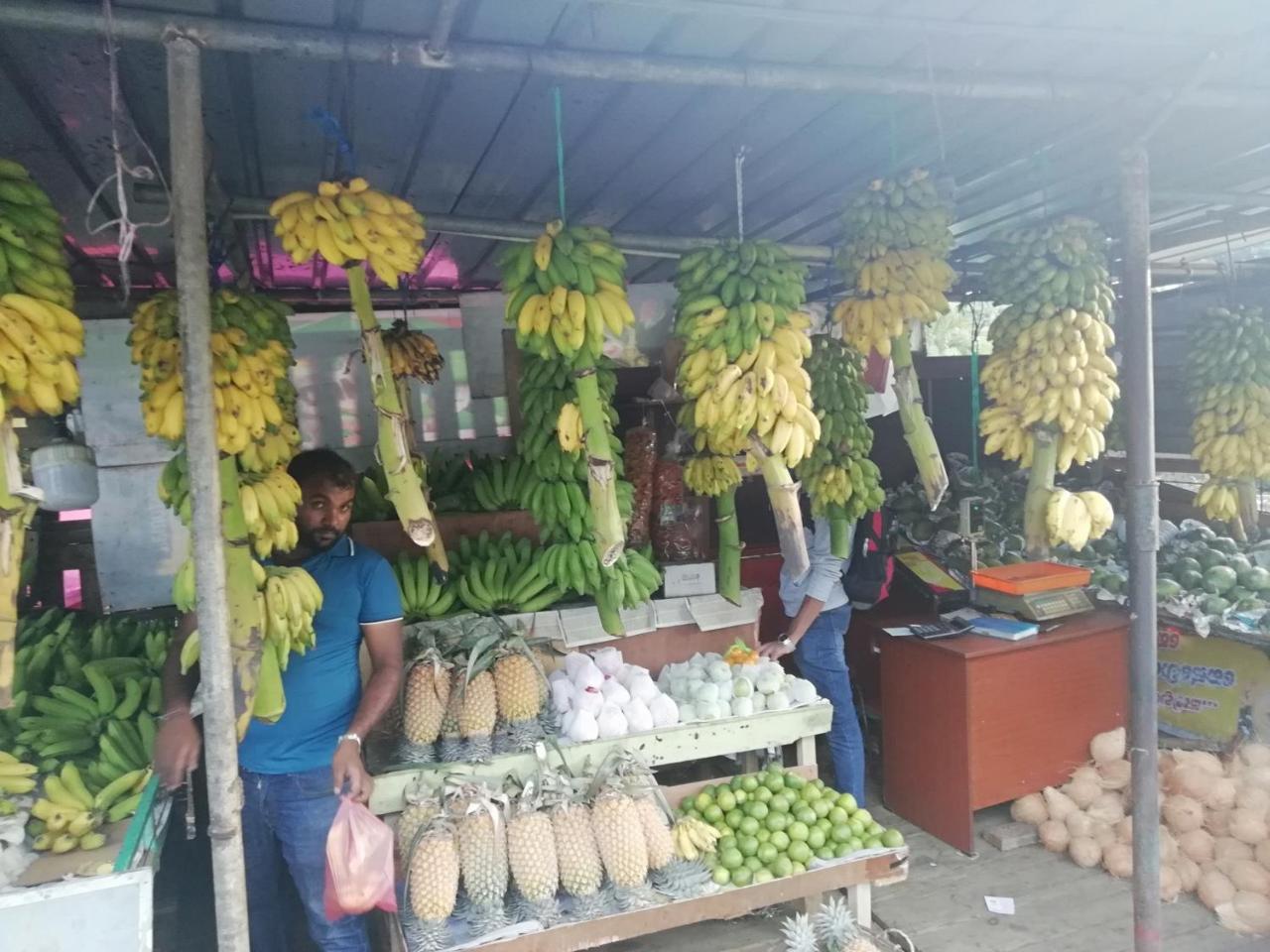 Mahaweli Shades Hotel Kandy Kültér fotó