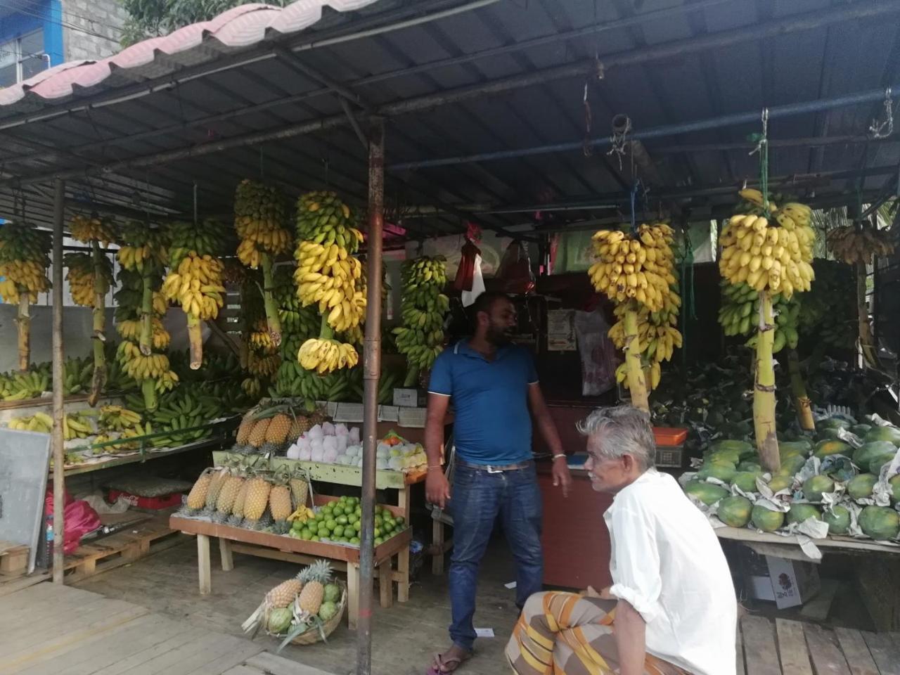 Mahaweli Shades Hotel Kandy Kültér fotó
