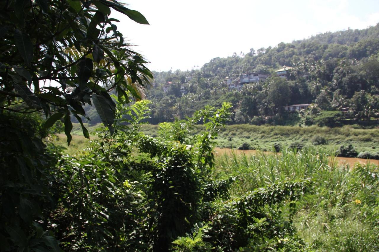 Mahaweli Shades Hotel Kandy Kültér fotó