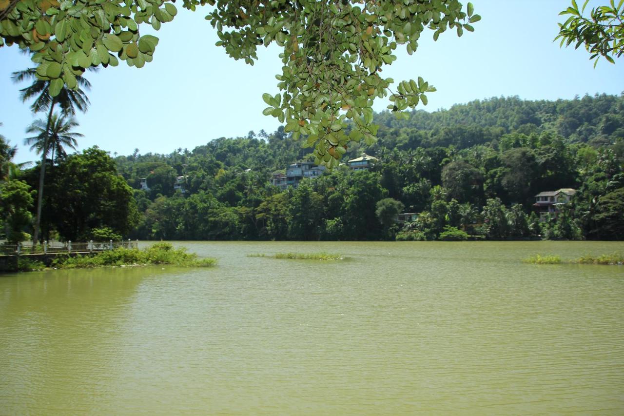 Mahaweli Shades Hotel Kandy Kültér fotó