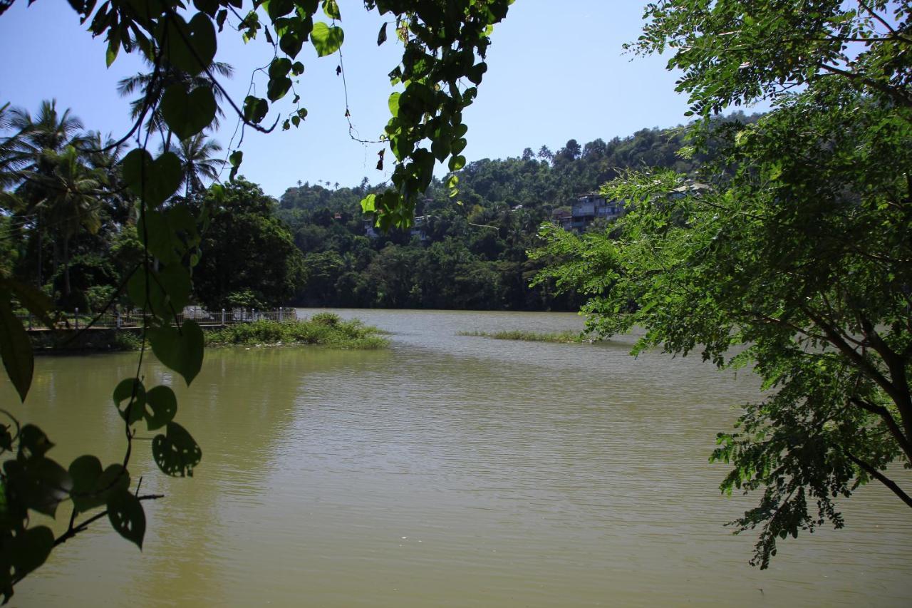 Mahaweli Shades Hotel Kandy Kültér fotó